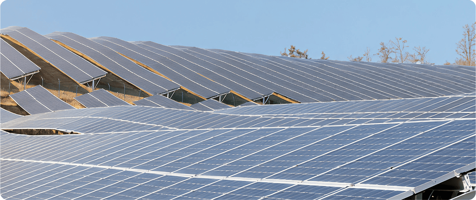 California, USA Header