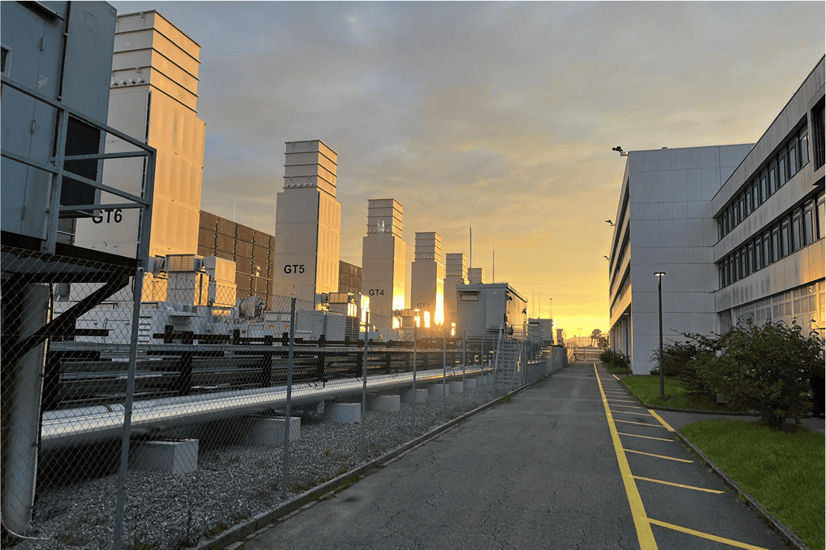 Project Gallery Image